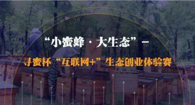 创业体验营