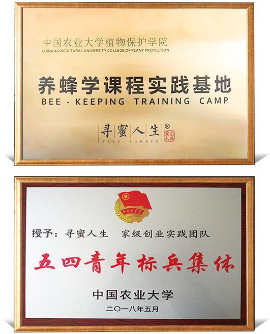养蜂学课程实践基地 + 五四青年标兵集体