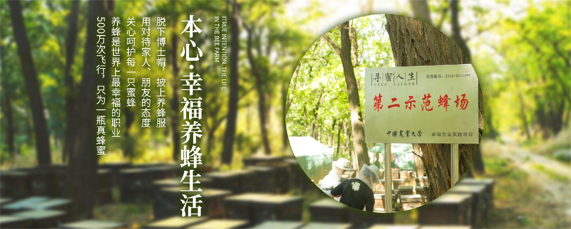 蜂场